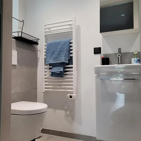 Au Pied Du Vieil Armand Gasthof 3*