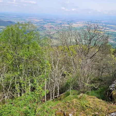 Gasthof Au Pied Du Vieil Armand Wattwiller