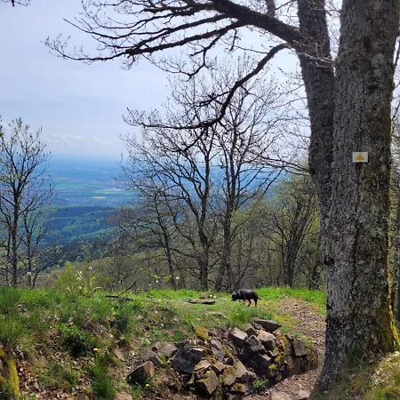 Au Pied Du Vieil Armand