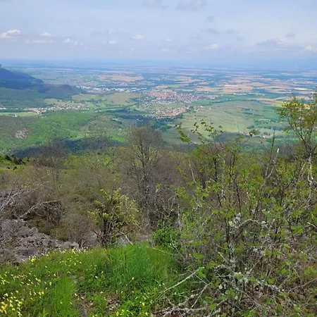 Au Pied Du Vieil Armand Gasthof