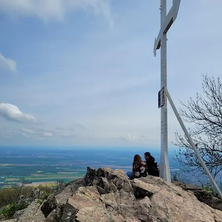 Au Pied Du Vieil Armand Gasthof