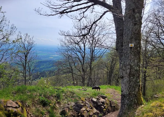 Au Pied Du Vieil Armand