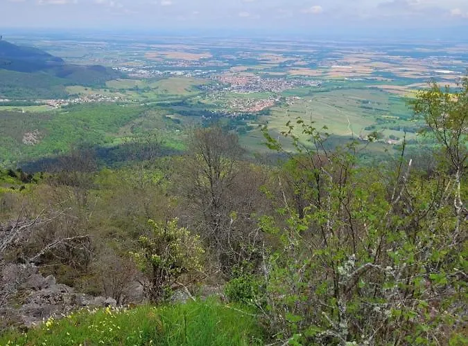 Au Pied Du Vieil Armand Konukevi