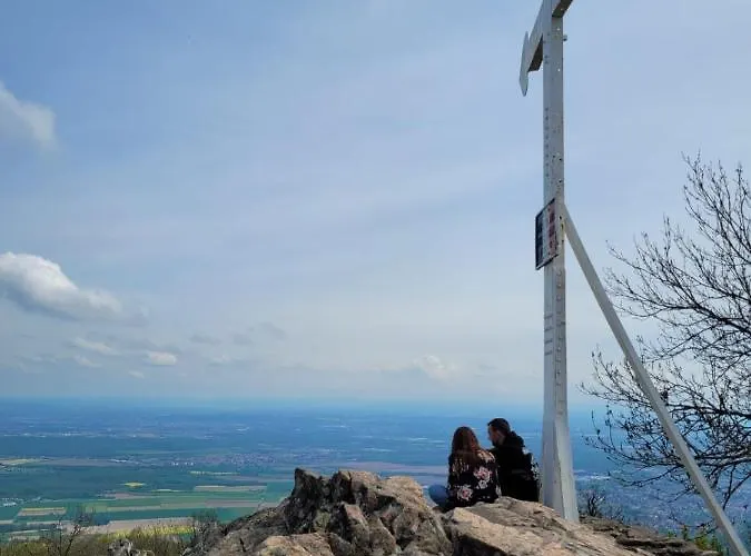 Au Pied Du Vieil Armand Konukevi